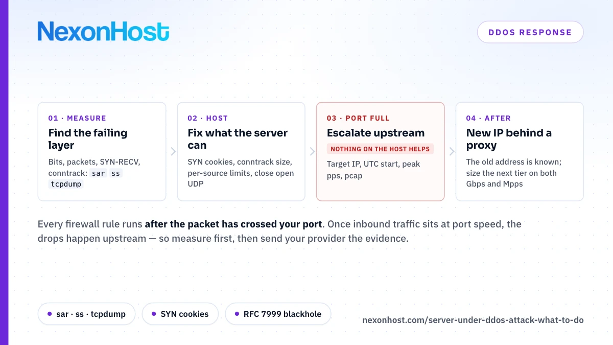 Server Under DDoS Attack? What to Do in the First Hour
